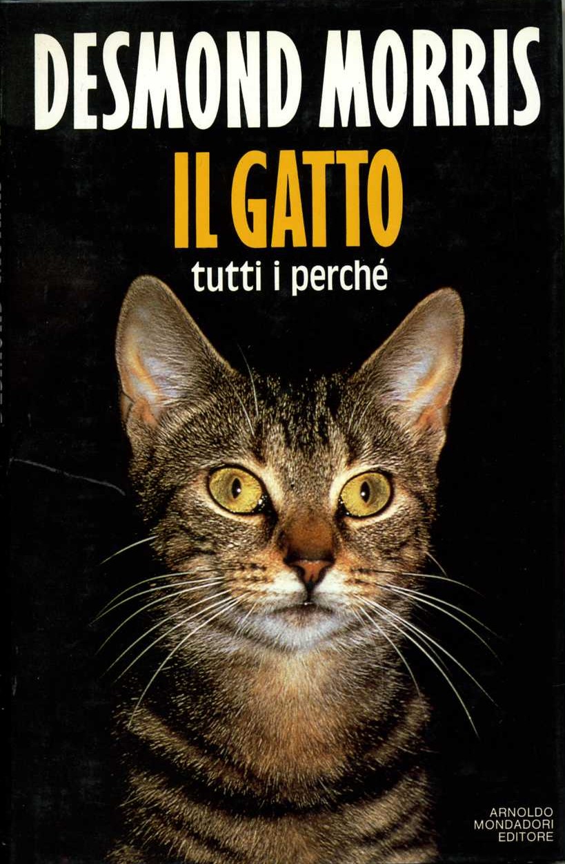 Il gatto: tutti i perchè (Ingrandimenti)