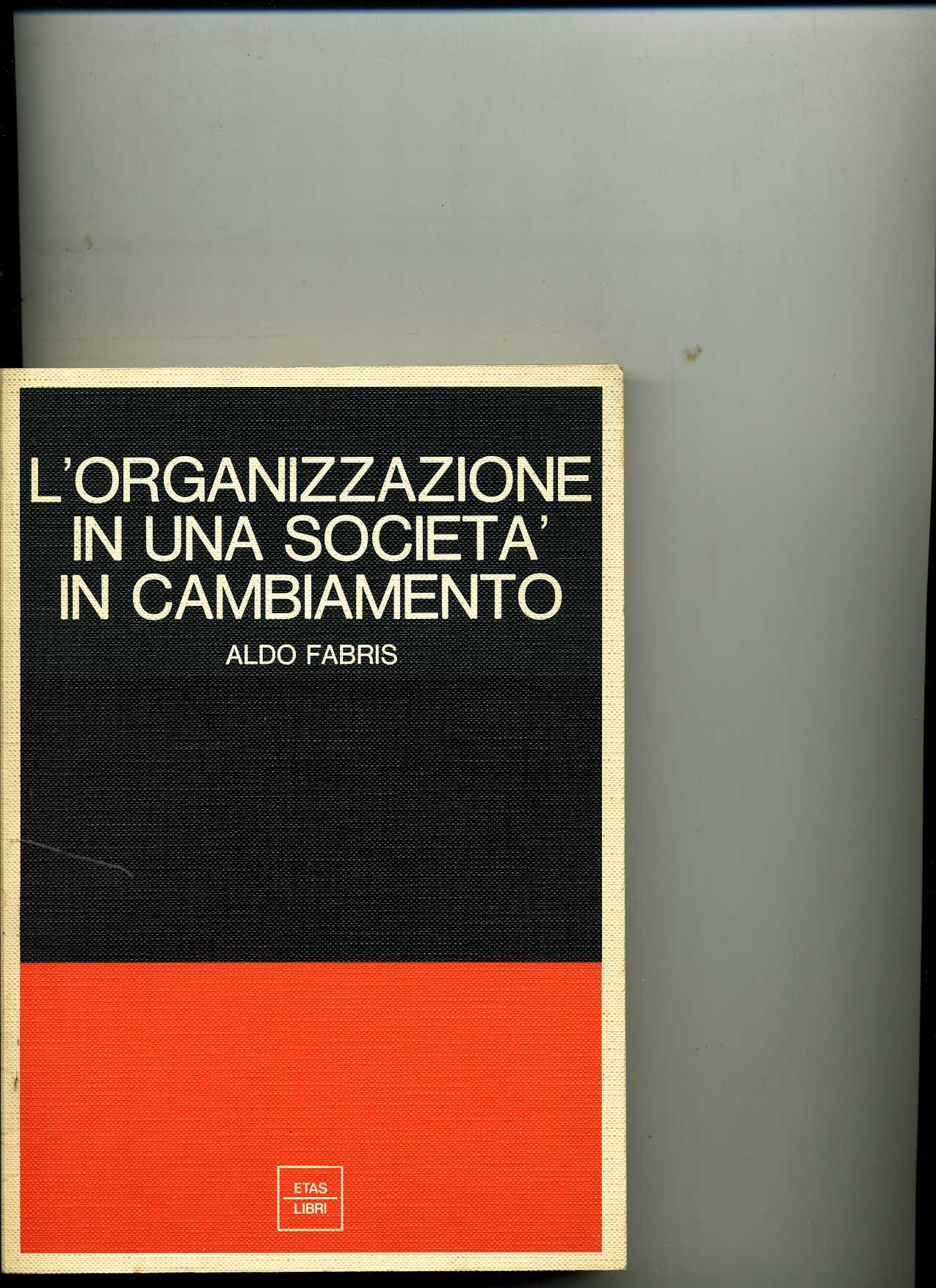 L`organizzazione in una società in cambiamento ald