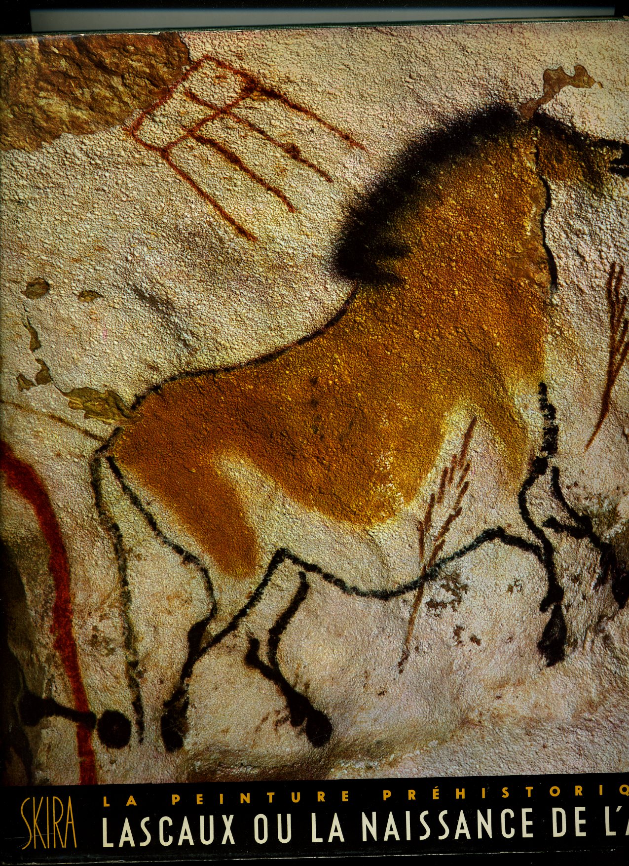 Lascaux ou la naissance de l`art