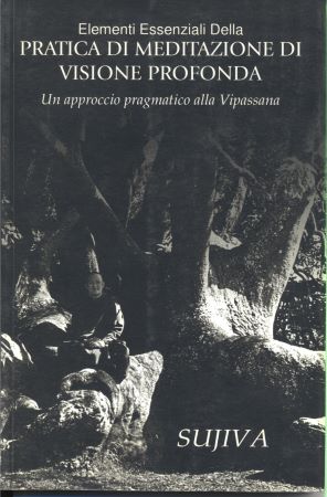 pratica di meditazione di visione profonda
