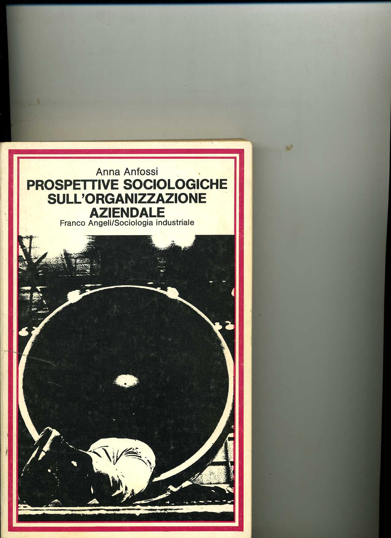 Prospettive sociologiche sull`organizzazione azien