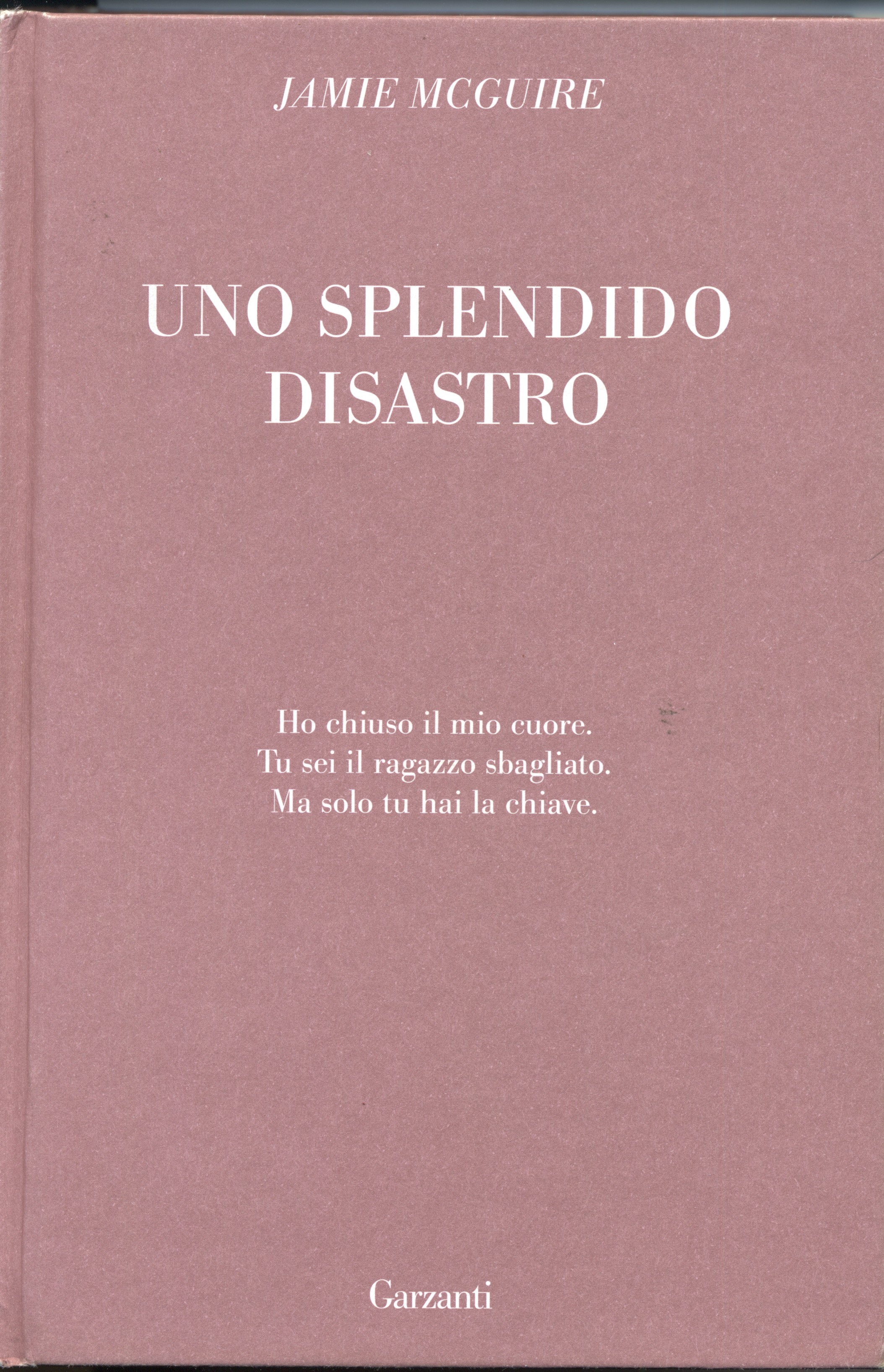 Uno splendido disastro (Super Elefanti bestseller)