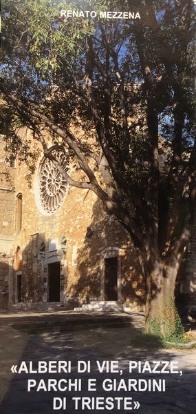 ALBERI DI VIE , PIAZZE, PARCHI E GIARDINI DI TRIESTE.
