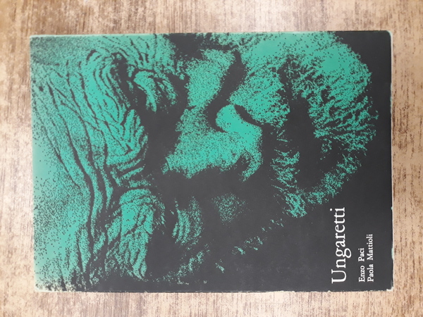LETTERE A UN FENOMENOLOGO.