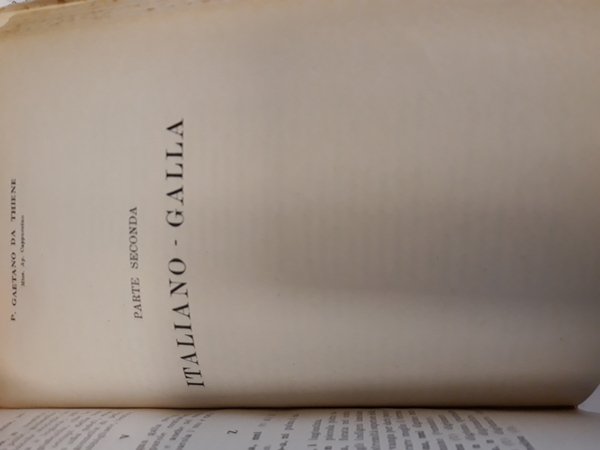 DIZIONARIO DELLA LINGUA GALLA