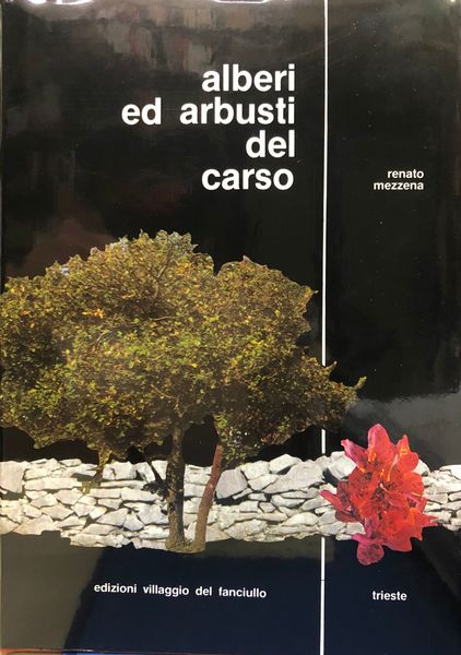 ALBERI ED ARBUSTI DEL CARSO.