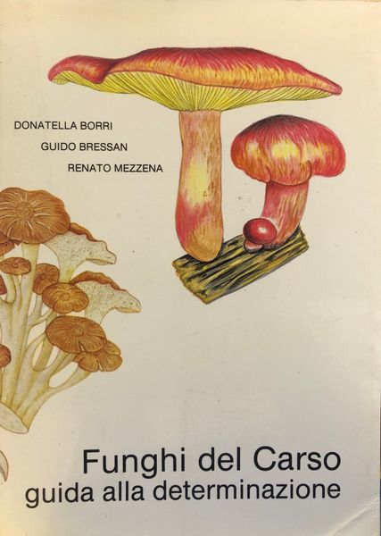 FUNGHI DEL CARSO: GUIDA ALLA DETERMINAZIONE.