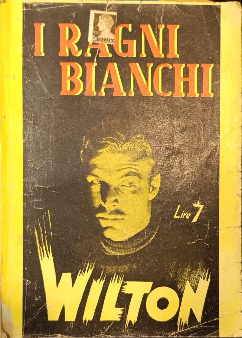 I ragni bianchi: romanzo