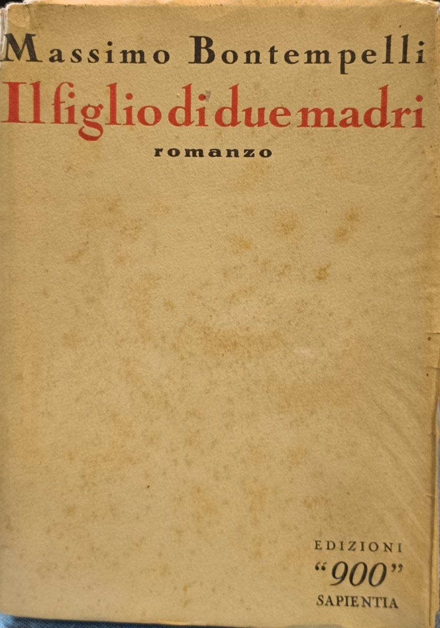Il figlio di due madri. Romanzo
