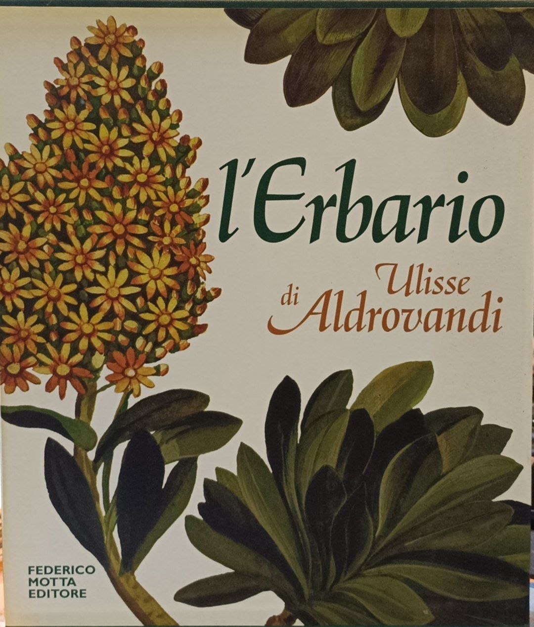 L'Erbario di Ulisse Aldrovandi: natura, arte e scienza in un …