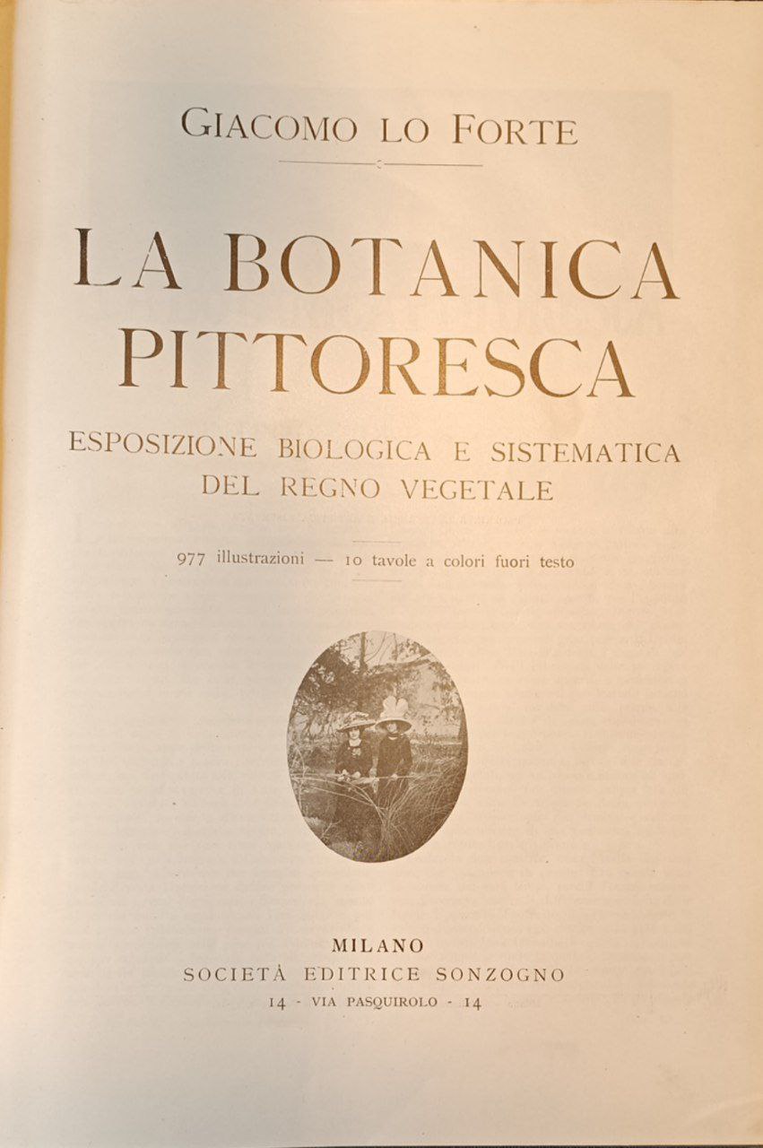 La botanica pittoresca: esposizione biologica e sistematica del regno vegetale