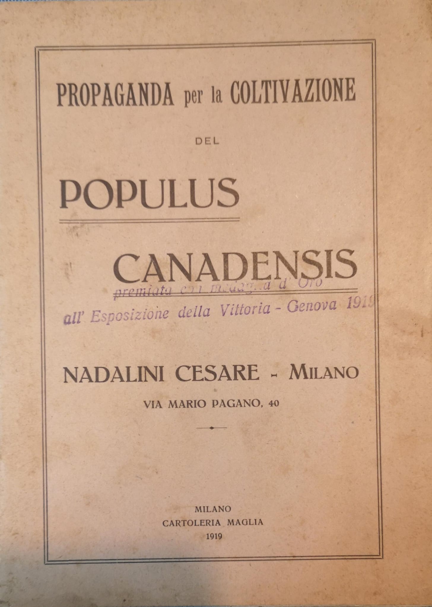 Propaganda per la coltivazione del Populus canadensis