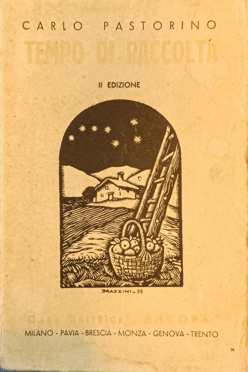 Tempo di raccolta: romanzo