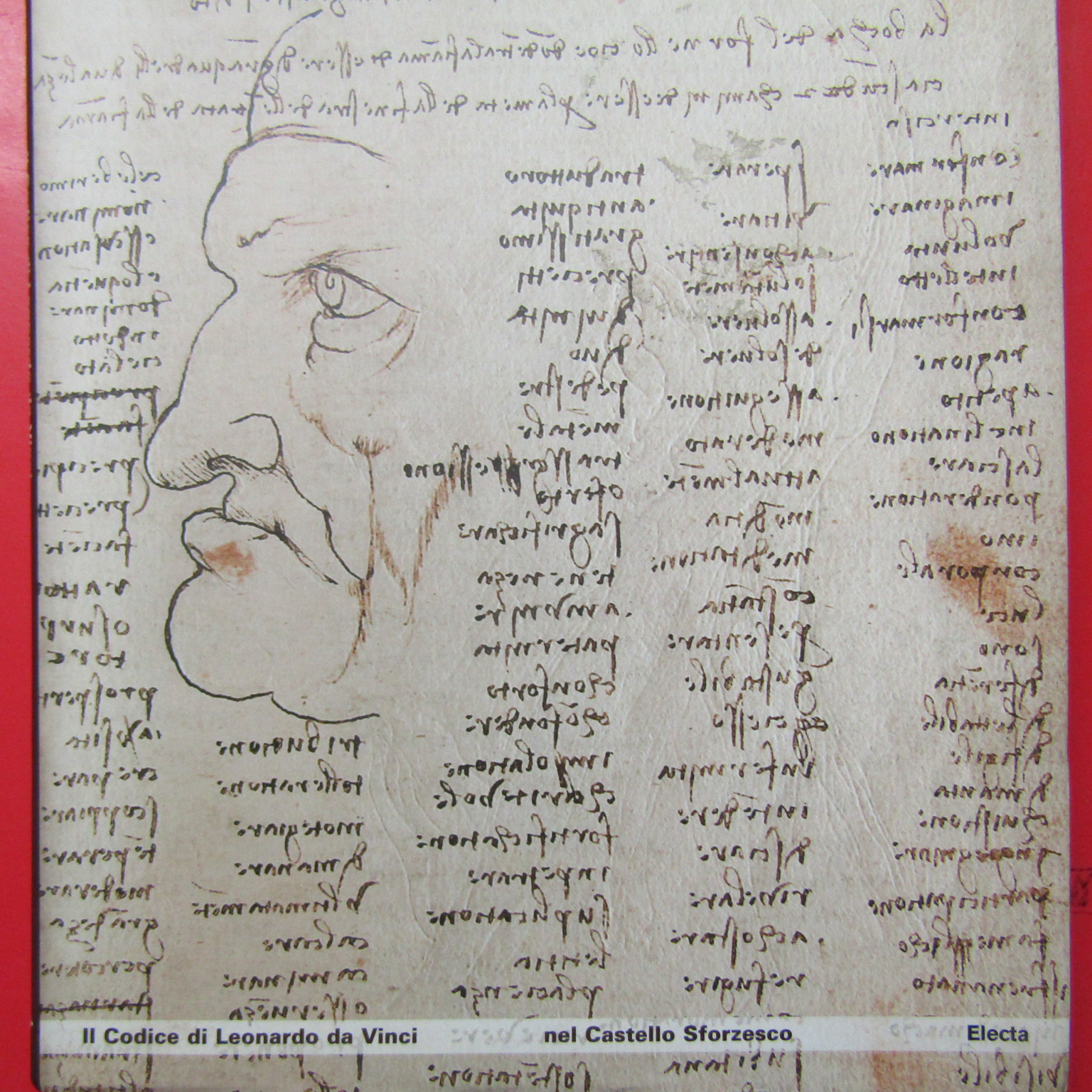 Il Codice di Leonardo da Vinci nel Castello Sforzesco