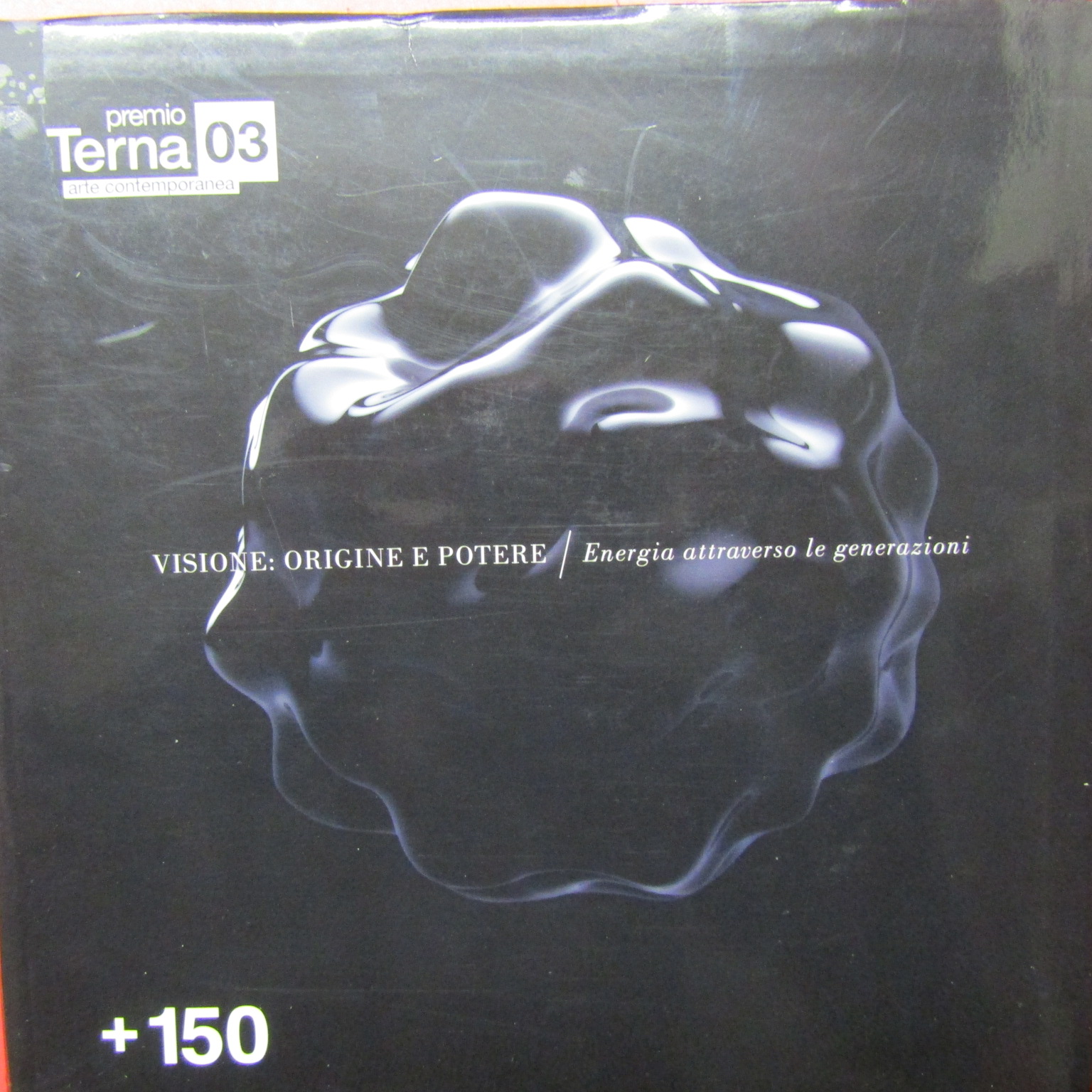 2010 Premio Terna 03 per l'Arte Contemporanea