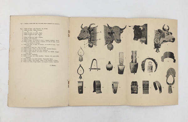 NOMI ROMANZI del COLLARE degli ANIMALI da PASCOLO. + Tosc. …