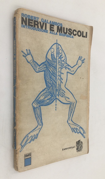 NERVI e MUSCOLI. Introduzione alla BIOFISICA.
