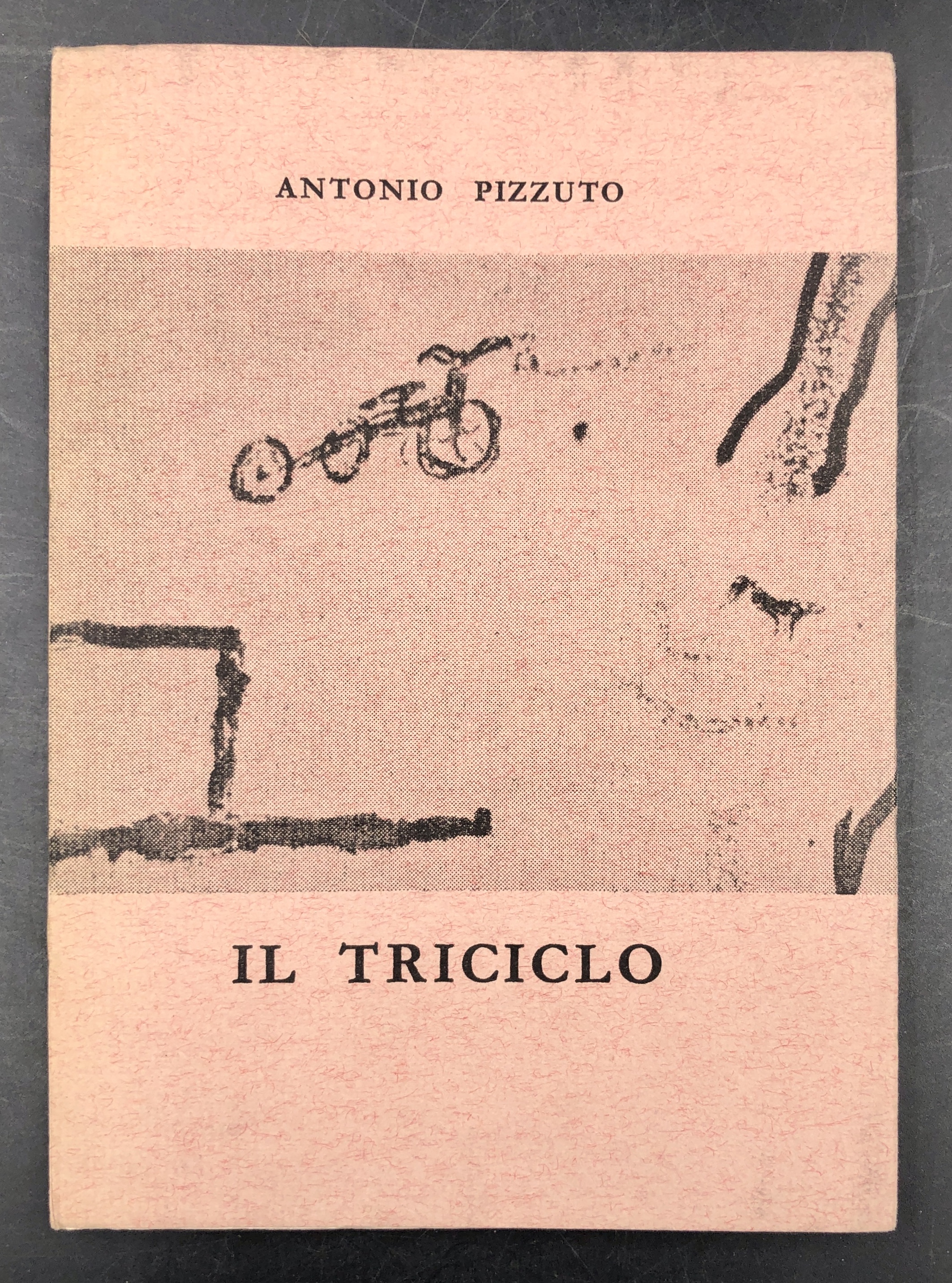 IL TRICICLO seguito da CANADESE. Con un saggio di Gianfranco …