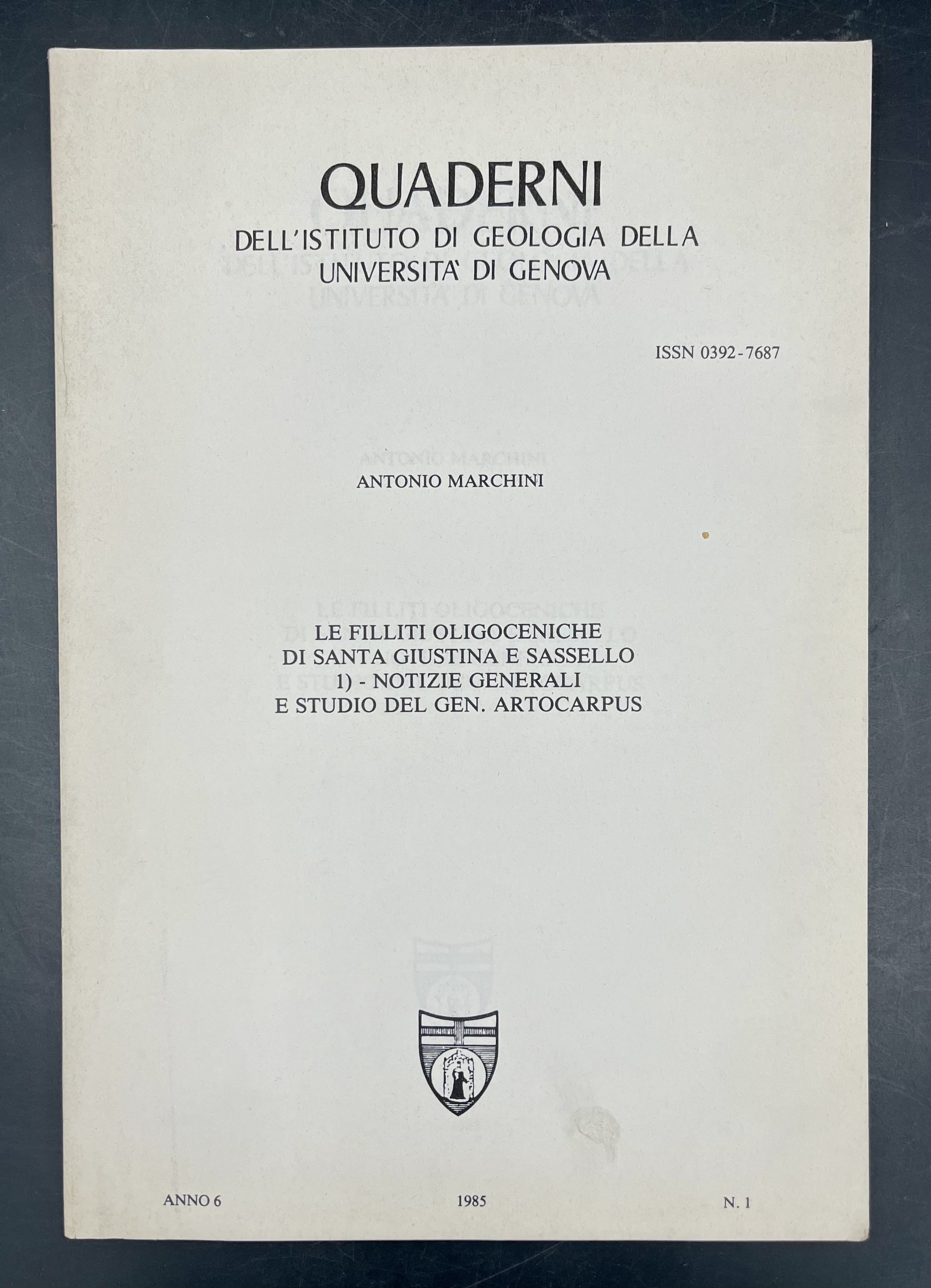 Le FILLITI OLIGOCENICHE di SANTA GIUSTINA e SASSELLO.1) Notizie generali …
