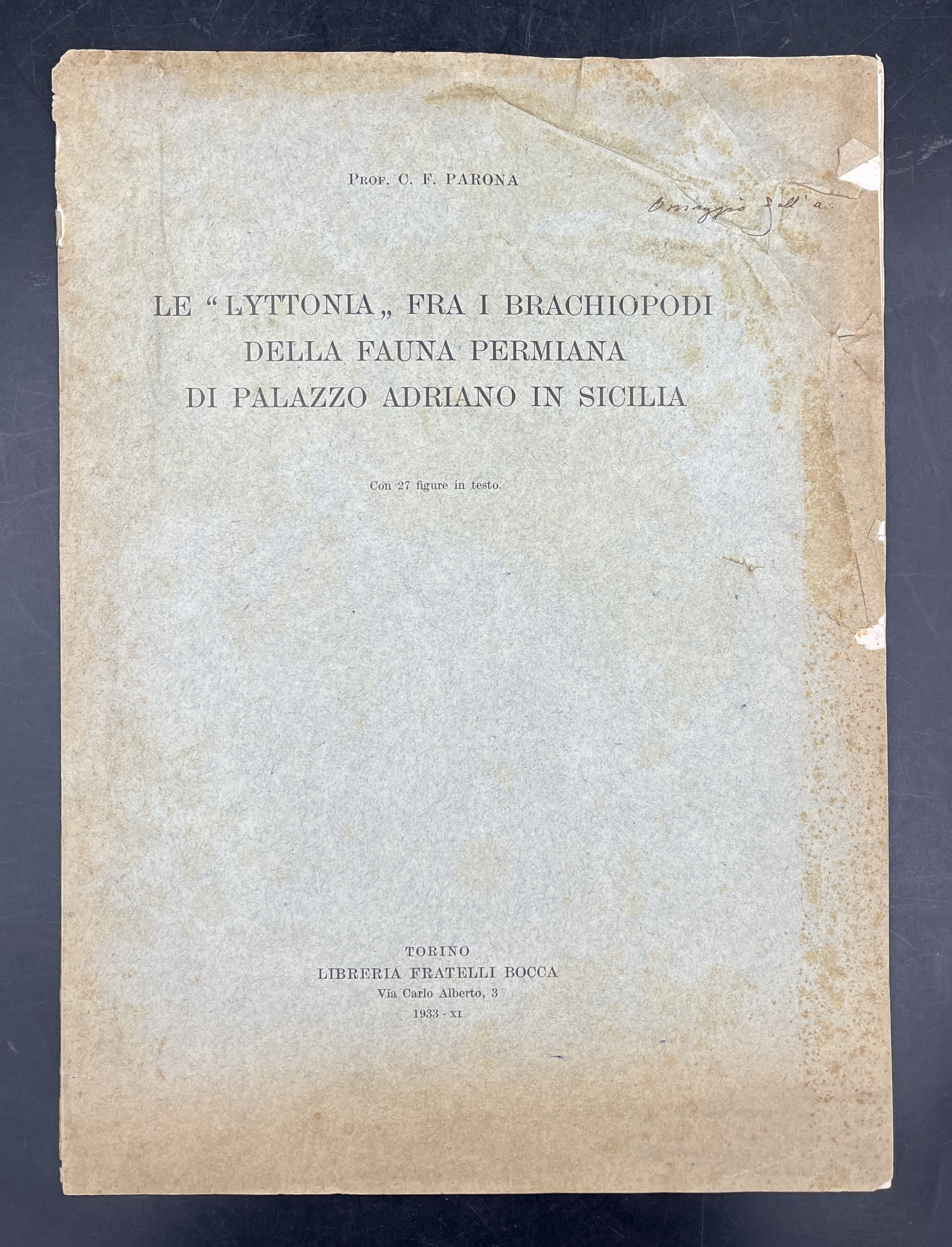 Le "LYTTONIA" fra i brachiopodi della fauna permiana di PALAZZO …