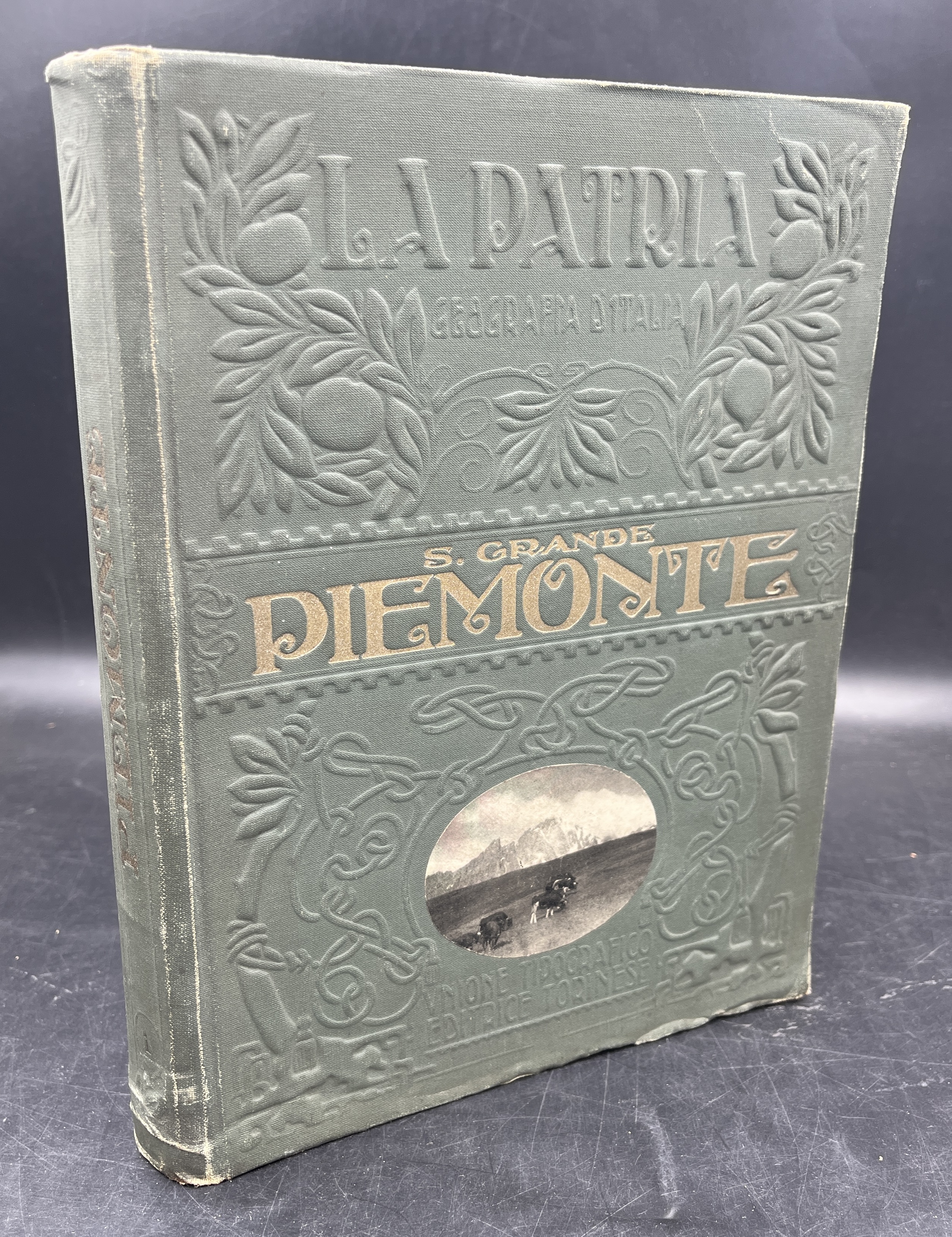 PIEMONTE. Con una CARTA GEOGRAFICA d'insieme, 10 TAVOLE a colori …