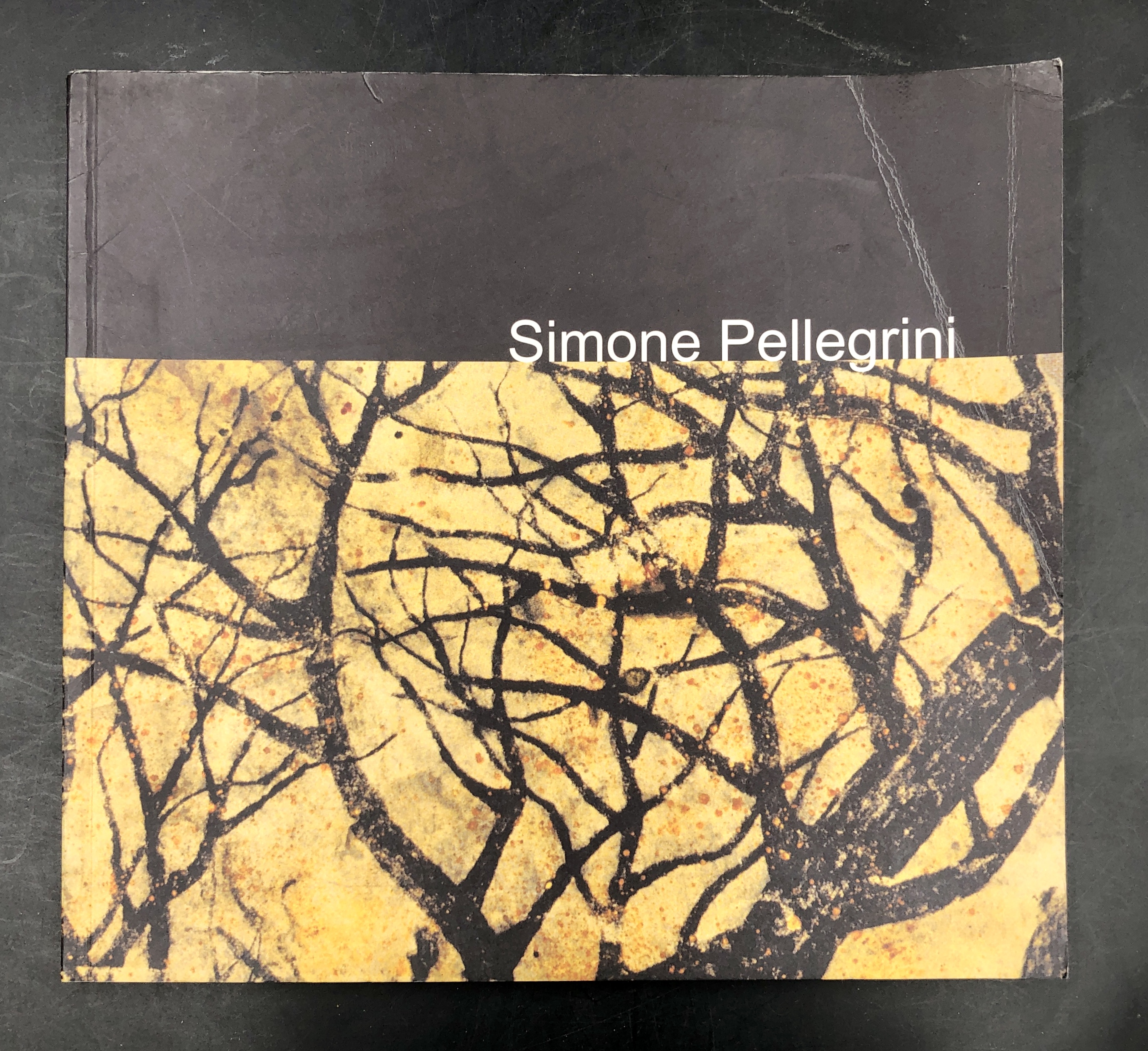 Simone PELLEGRINI. I mischi del sentiero. Mostra alla Galleria BonioniArte, …