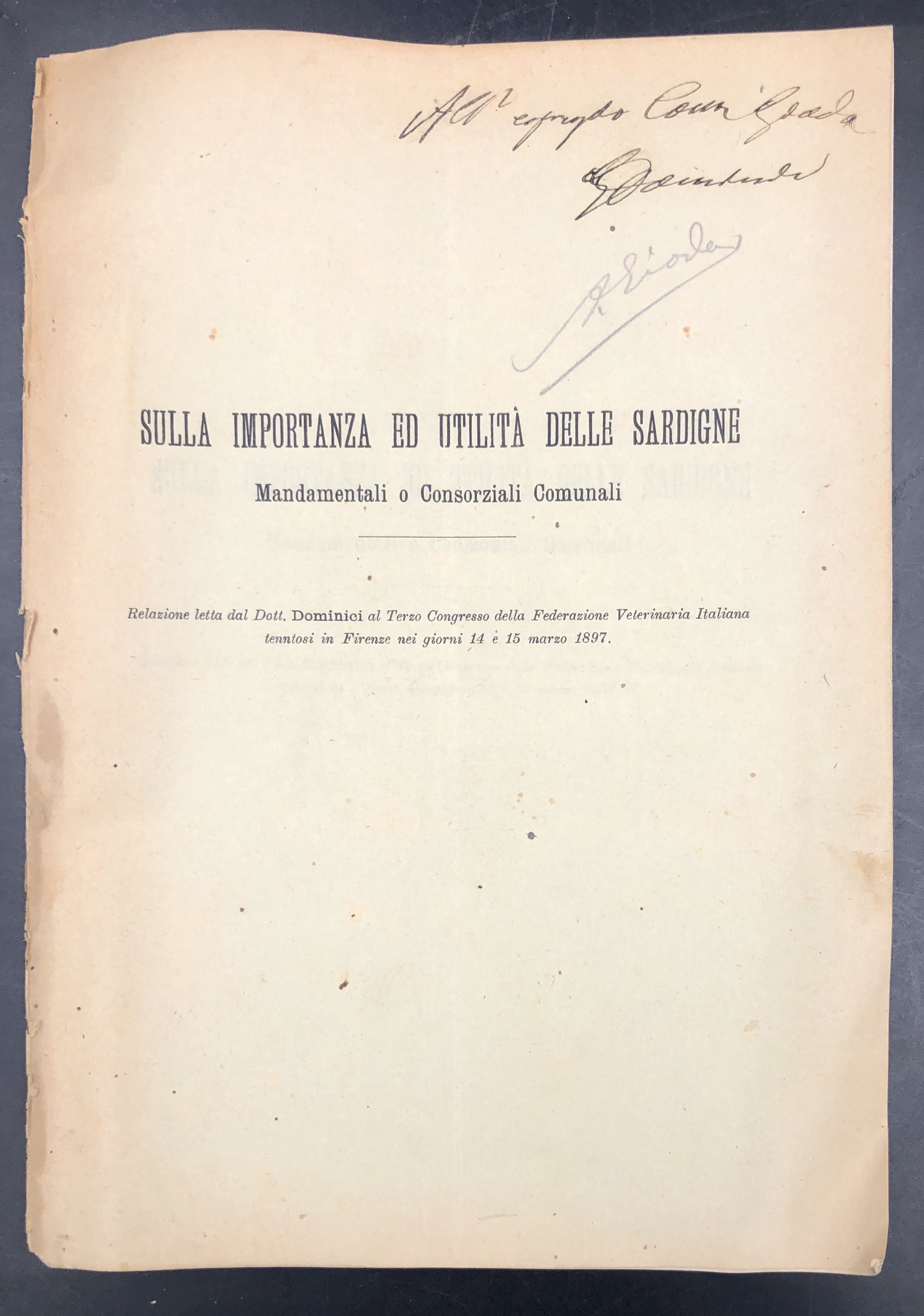 Sulla IMPORTANZA ed UTILITà delle SARDIGNE Mandamentali o Consorziali Comunali. …