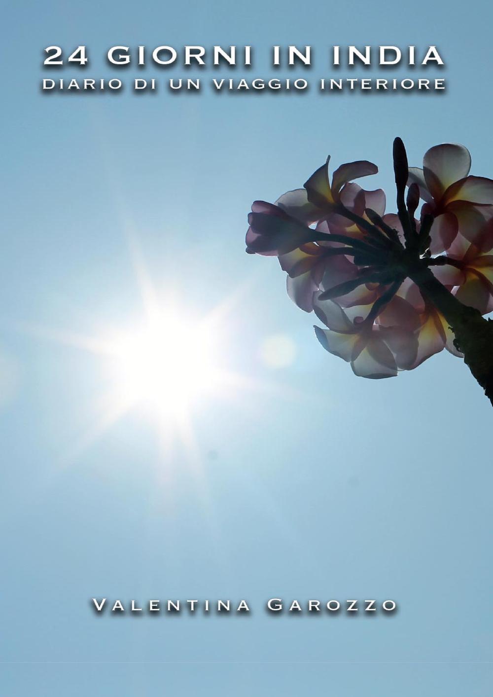 24 giorni in India. Diario di un viaggio interiore