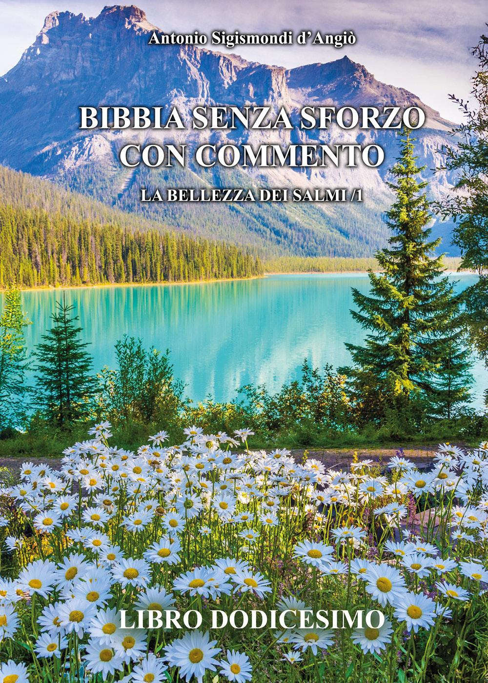 Bibbia senza sforzo con commento. La bellezza dei salmi. Vol. …