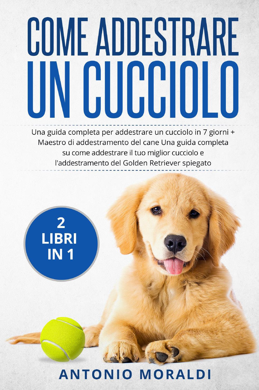 Come addestrare un cucciolo