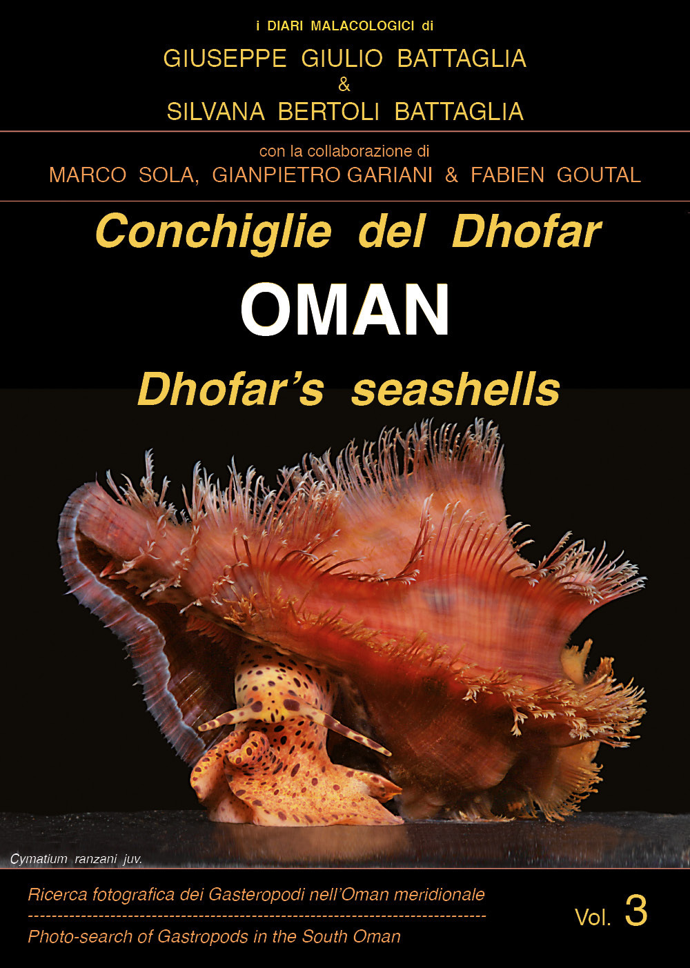 Conchiglie del Dhofar. Oman-Dhofar's seashells. Oman