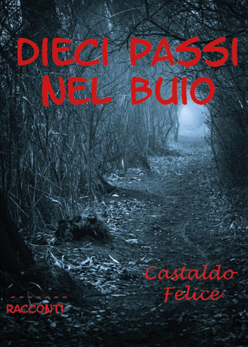 Dieci passi nel buio