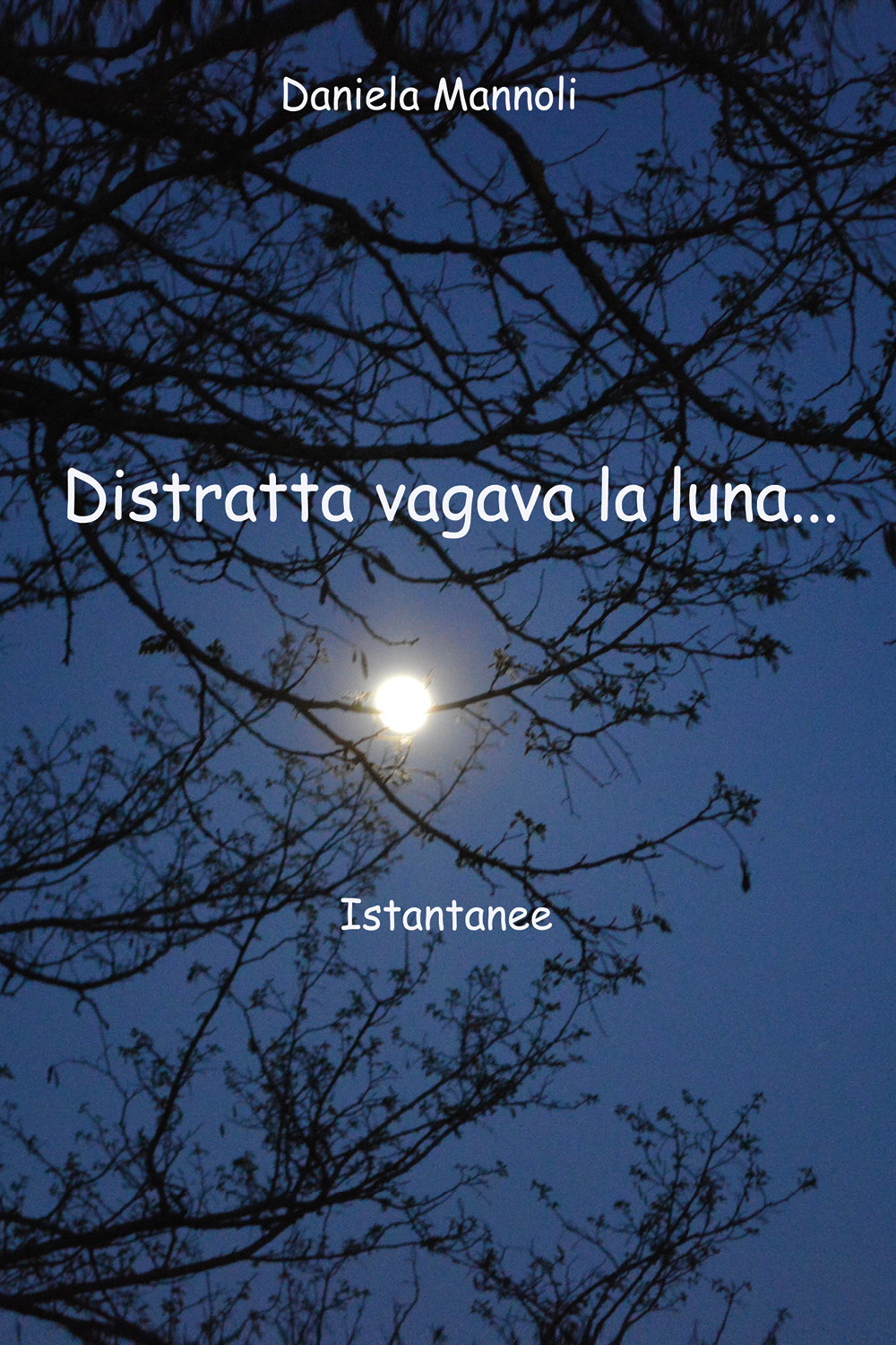 Distratta vagava la luna. Istantanee