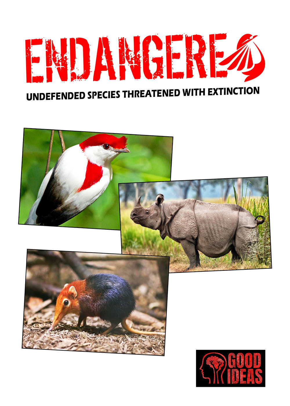 Endangered. Undefended species threatened with extinction. Ediz. italiana, inglese e …