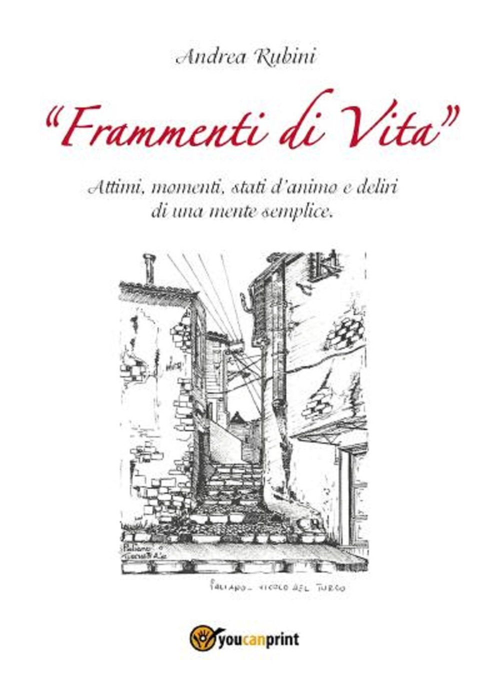 Frammenti di vita. Attimi, momenti, stati d'animo e deliri di …