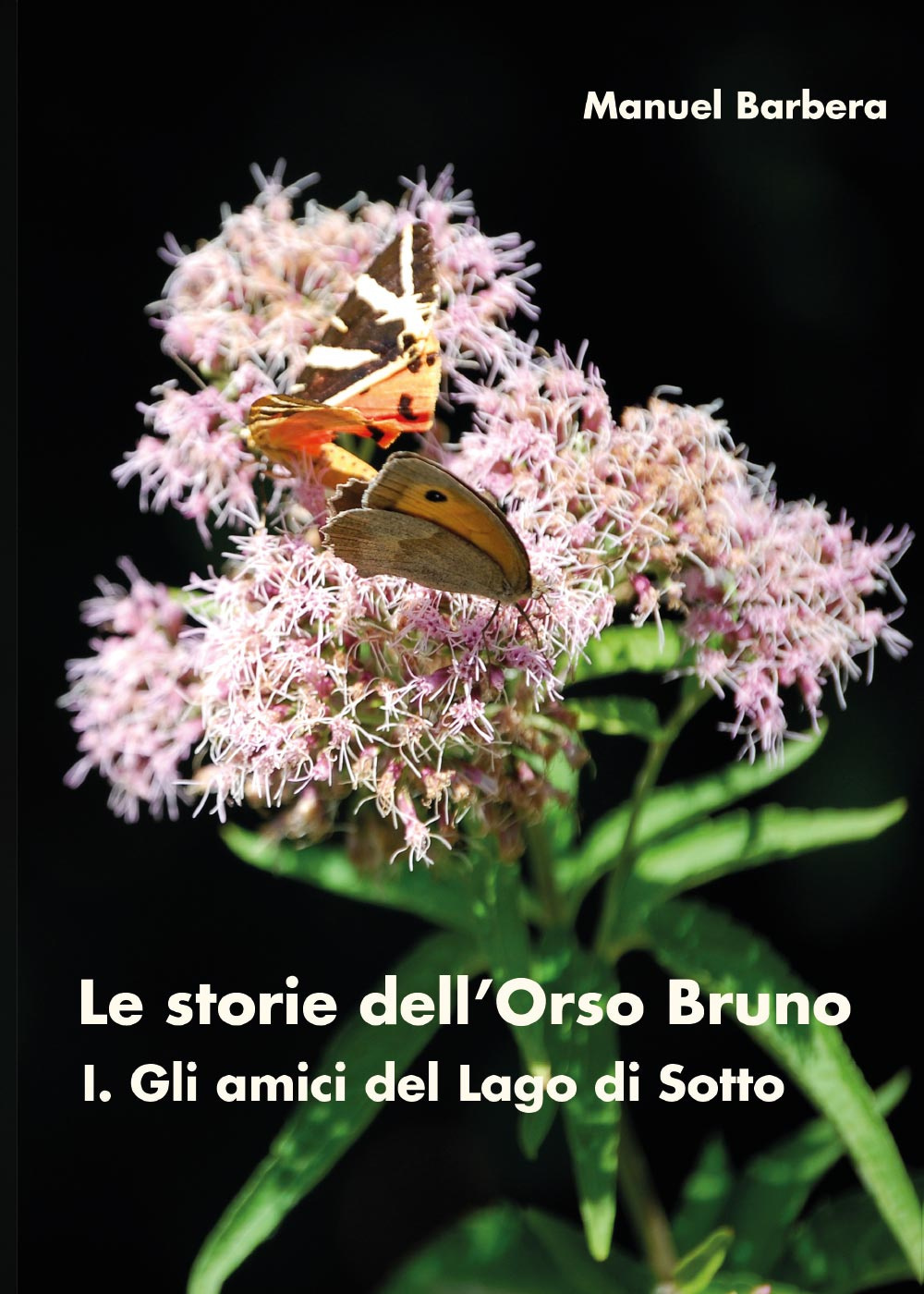 Gli amici del lago di sotto. Le storie dell'orso bruno. …