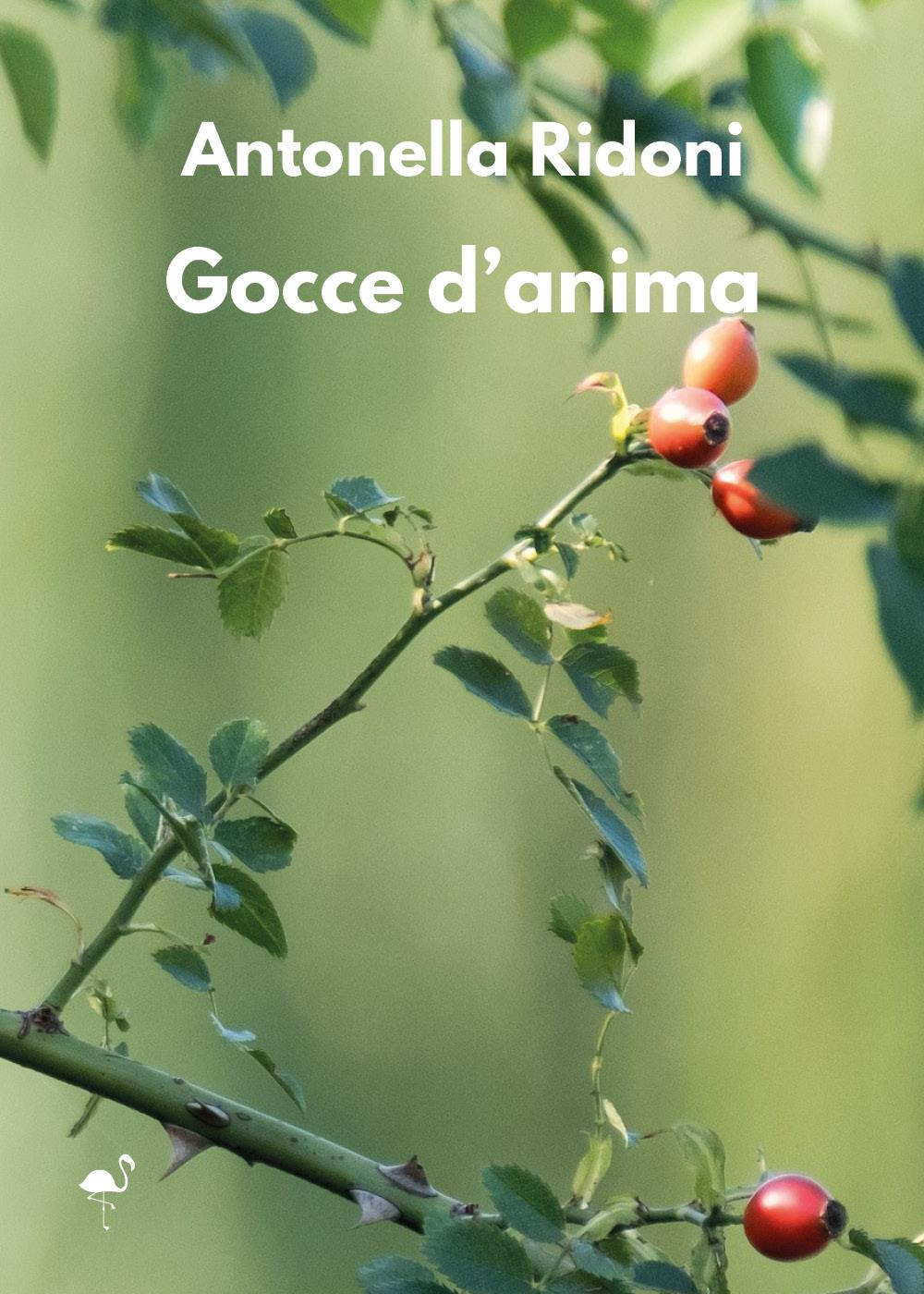 Gocce d'anima