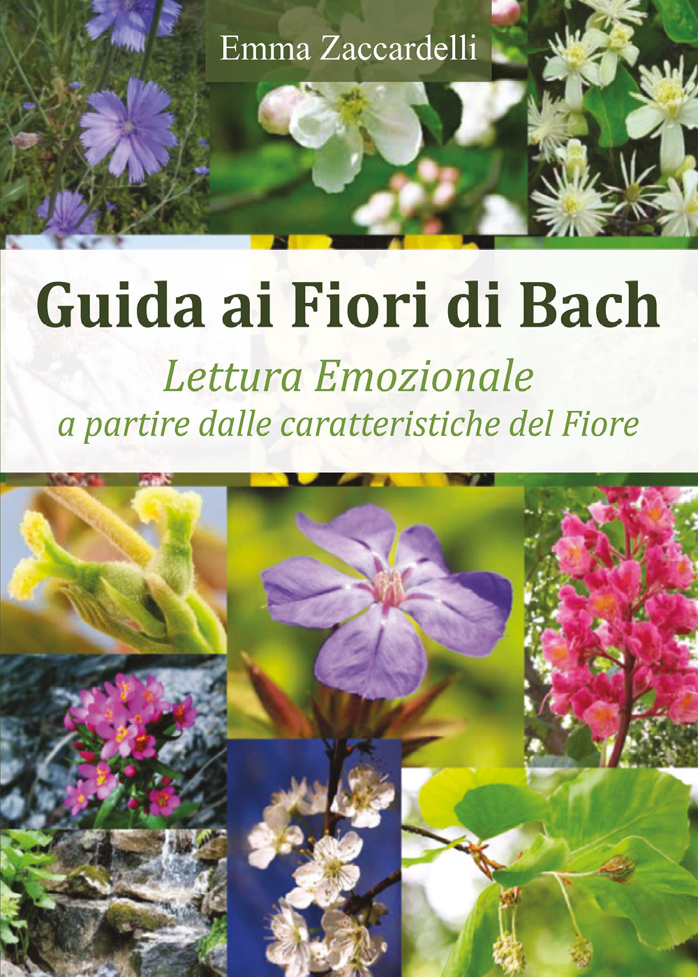 Guida ai fiori di Bach. Lettura emozionale a partire dalle …