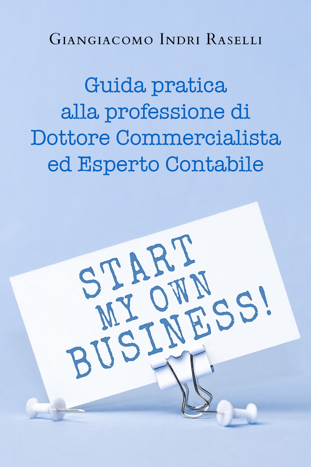 Guida pratica alla professione di dottore commercialista ed esperto contabile