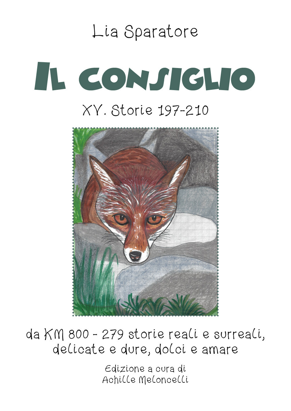 Il consiglio XV. Storie 197-210 da KM 800-279 storie reali …