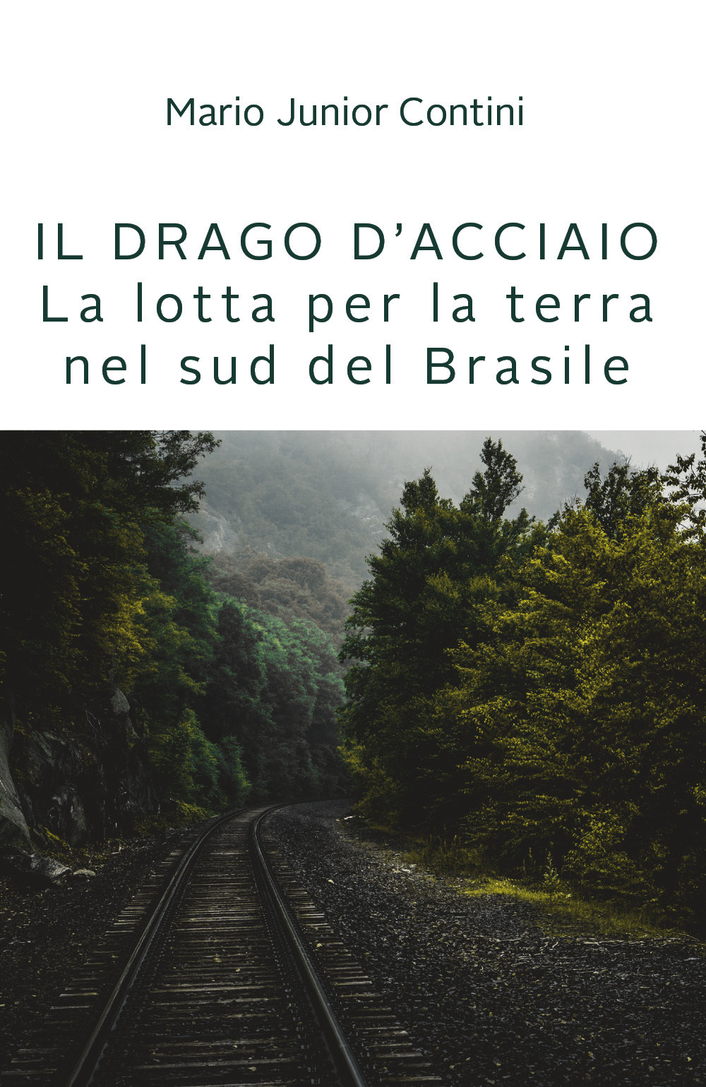 Il drago d'acciaio. Lotta per la terra nel sud del …