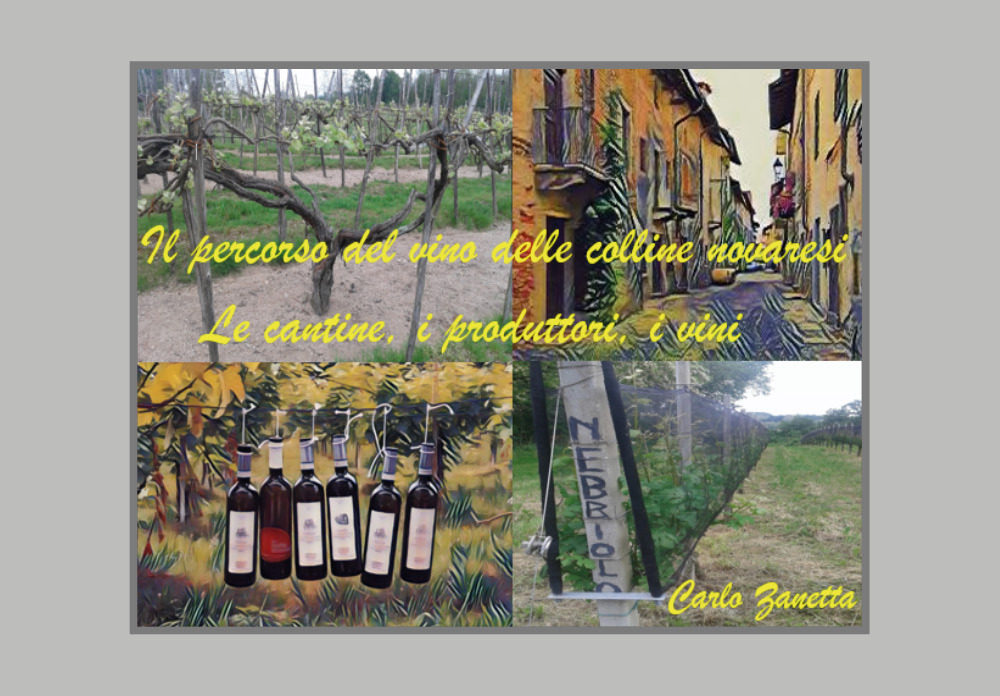 Il percorso del vino delle colline novaresi. Le cantine, i …
