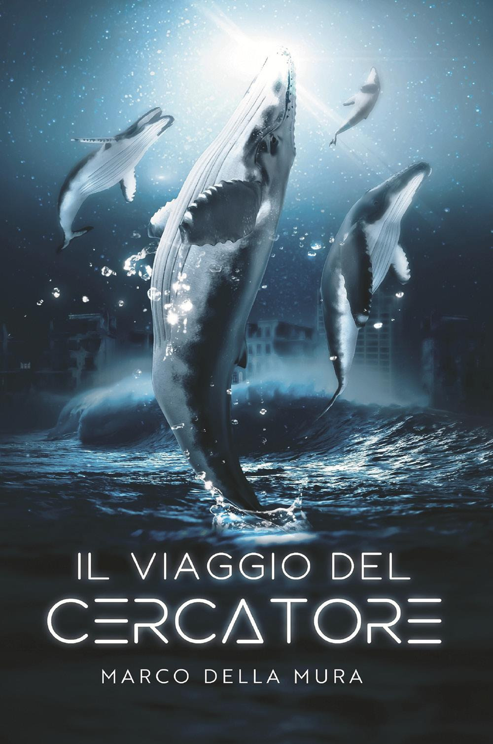 Il viaggio del cercatore