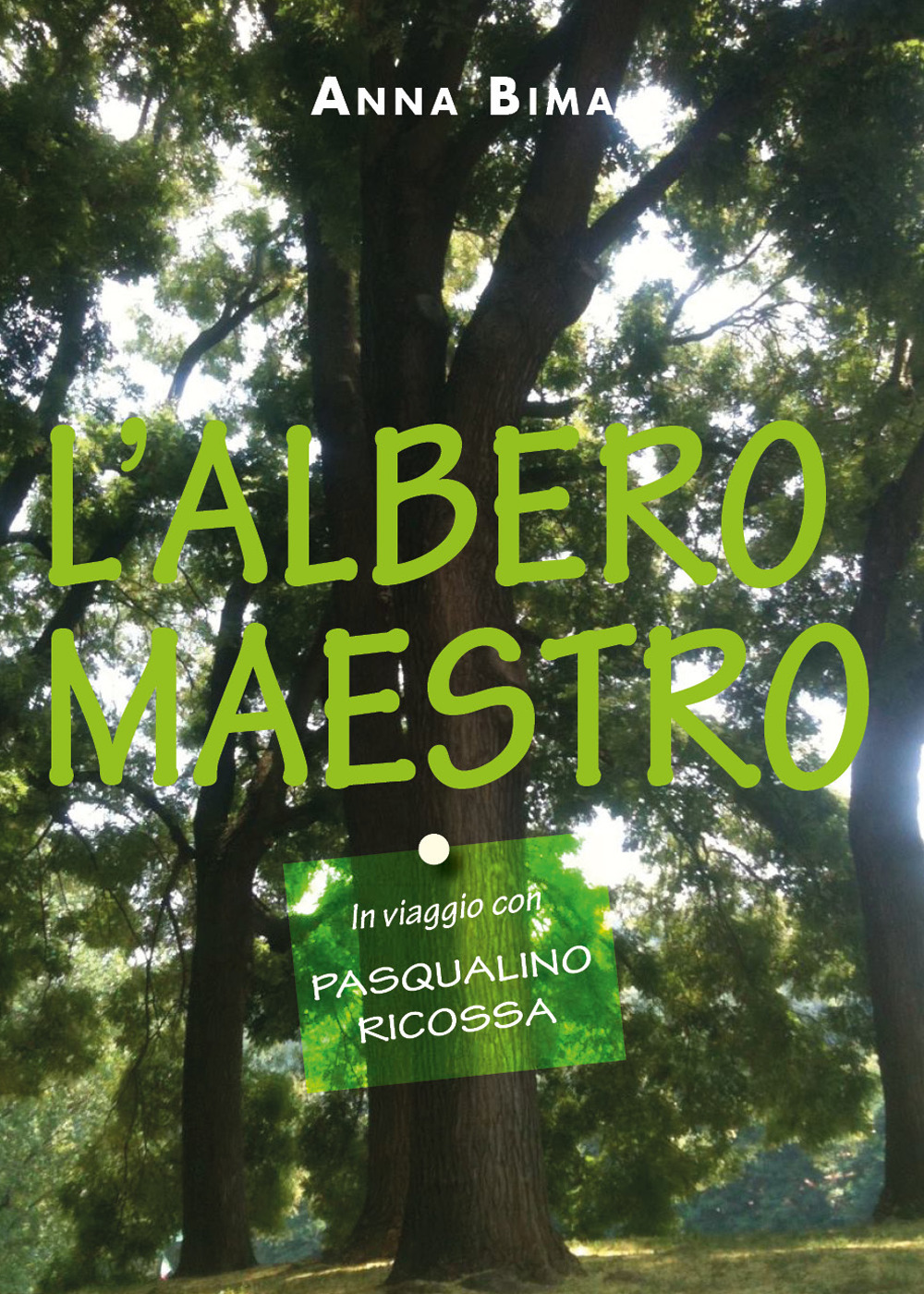 L'albero maestro. In viaggio con Pasqualino Ricossa