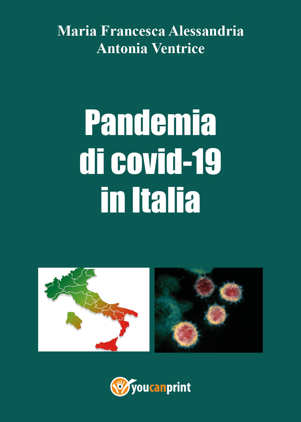 La pandemia di Covid-19 in Italia