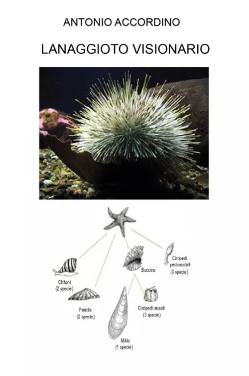 Lanaggioto visionario