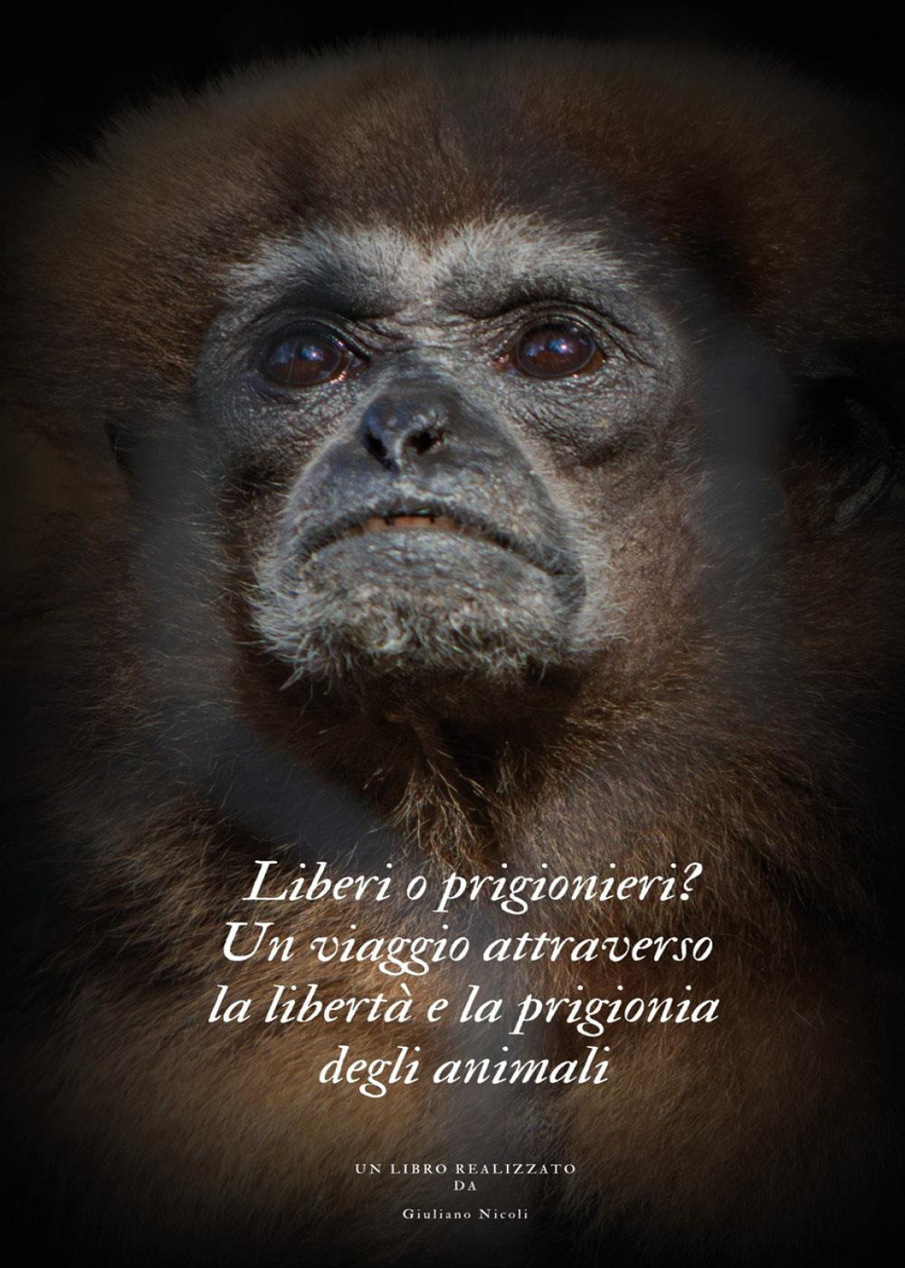 Liberi o prigionieri? Un viaggio attraverso la libertà e la …