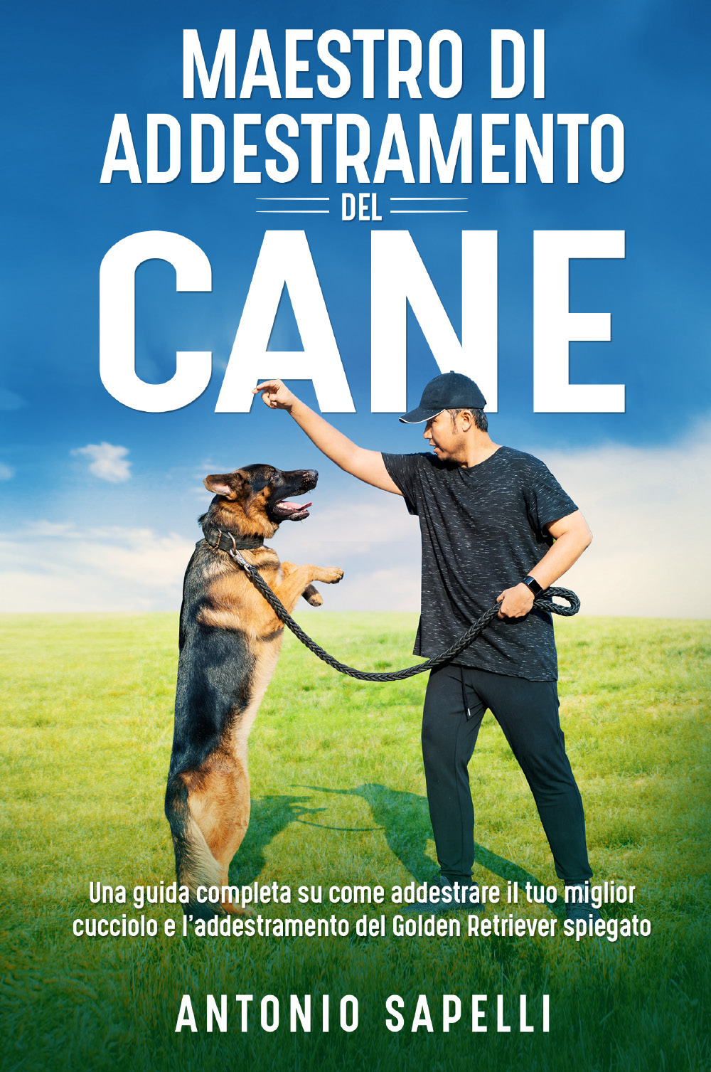 Maestro di addestramento del cane. Una guida completa su come …