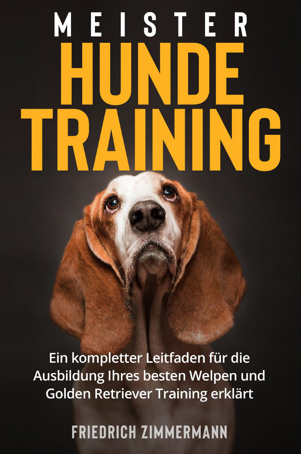 Meister hundetraining
