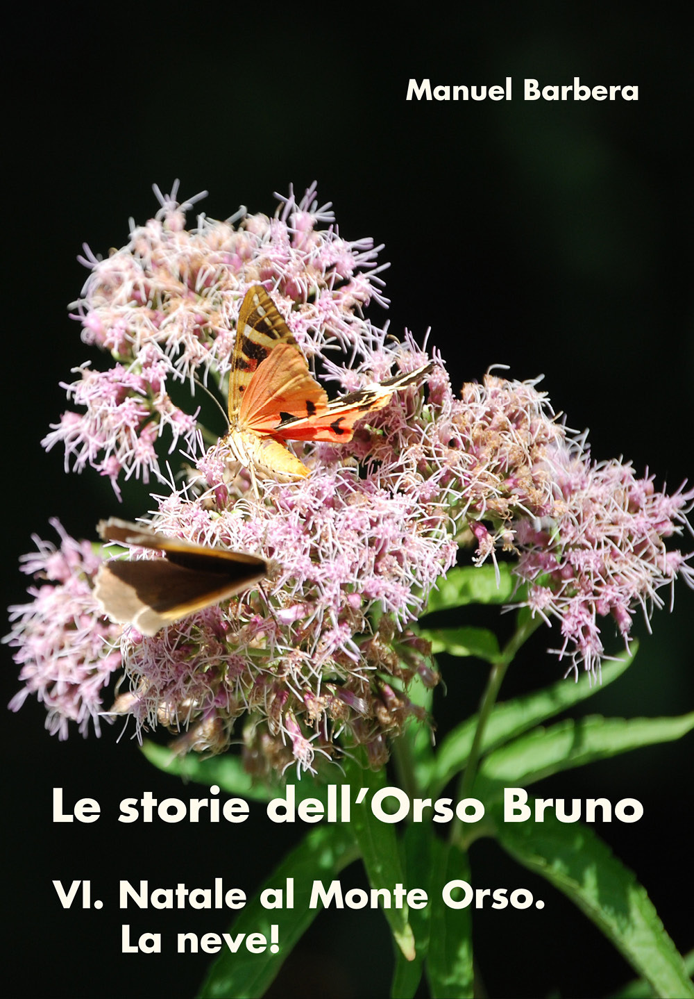 Natale al Monte Orso. La neve! Le storie dell'orso bruno. …